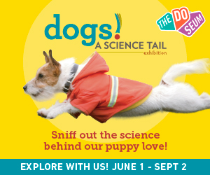 DoSeum - Dogs A Science Tail