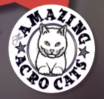 Acro Cats.png