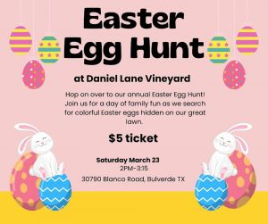 Egg Hunt Daniel Lane Vineyard.jpg