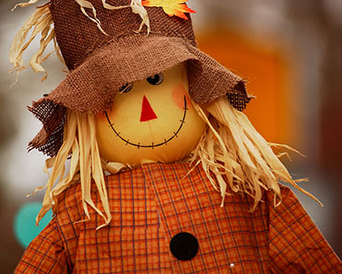 Kids San Antonio: Halloween and Fall Displays - Fun 4 Alamo Kids