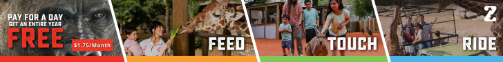 San Antonio Zoo Pay for a Day Get a Year Free
