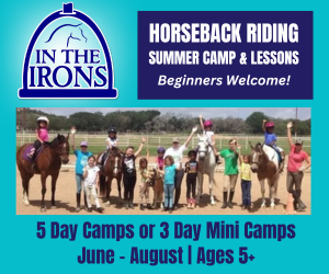In the Irons Equestrian Center Horseback Riding Summer Camps
