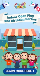 Cheeky Monkeys Indoor Open Play and Birthday Parties