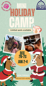 In the Irons Winter Camp