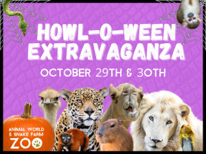 Howl-O-Ween Extravaganza at Animal World and Snake Farm Zoo - Fun 4 Alamo  Kids