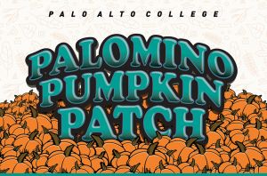 pac-sle-781x518-pumpkinpatch23 (1).jpg