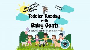 toddler tues baby goats.jpg