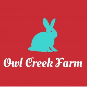 owlcreek logo.jpg