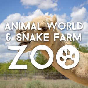 animal world snake farm logo.jpg