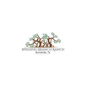 windingbranchranch logo.jpg