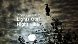 night hike audubon.jpg