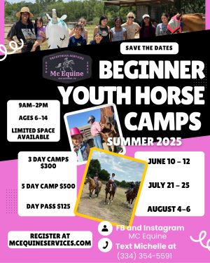 mc equine horse camp.jpg