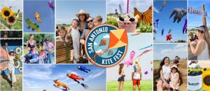 kite fest.jpg