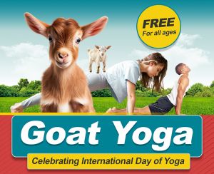 parksrec goatyoga.jpg