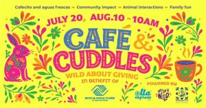 olla cafe cuddles.jpg