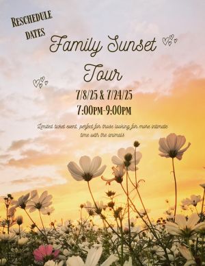 family sunset.jpg