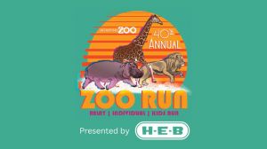 zoo run.jpg