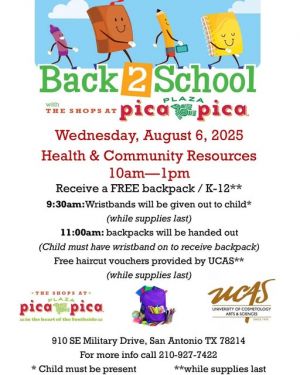 picapica school.jpg