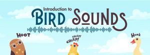 bird sounds.jpg