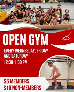 sunburst open gym.jpg