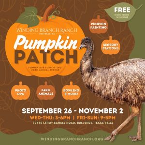 windingbranch pumpkin.jpg
