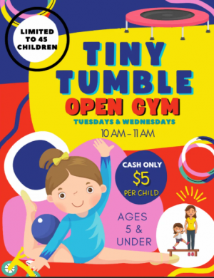 tinytumble open gym.png