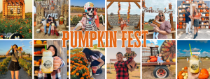 rockberry ranch pumpkin.png