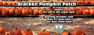 bracken pumpkin patch.jpg
