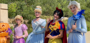 bibbidi boo fest.png