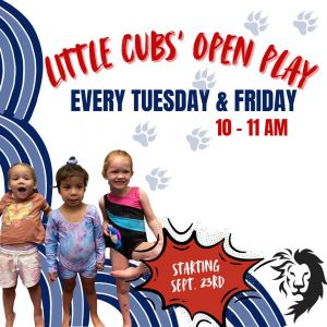 cubs open play.jpg