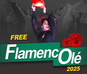 flamenco.jpg