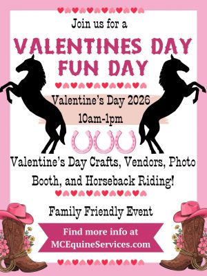 mcequine vday.jpg