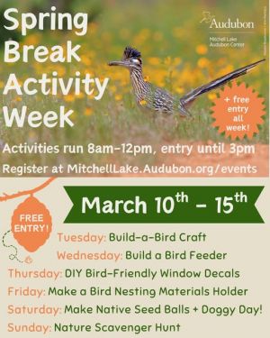 mitchell lake SB.jpg