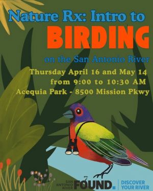 birding.jpg