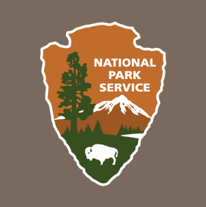 nps.png