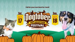 dogtober.jpg