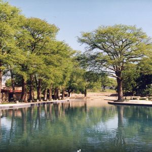San Pedro Springs Park