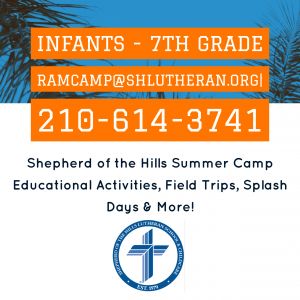 Shepherd of the Hills Summer Ram Camp