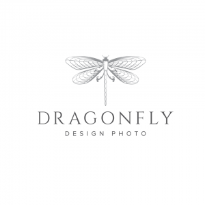 Dragonfly Design Photo