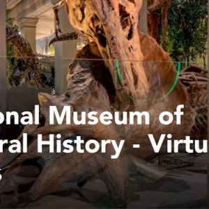 National Museum of Natural History - Virtual Tours