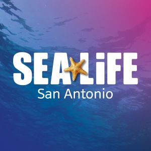 SEA LIFE Aquarium San Antonio {Opening May 2021!}