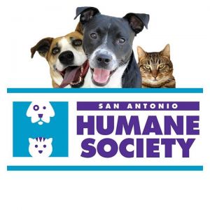 San Antonio Humane Society Mini Camp Humane