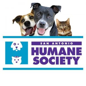 San Antonio Humane Society Camp Humane