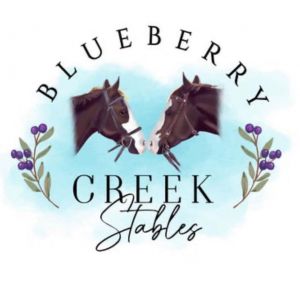 Blueberry Creek Stables Summer Camps