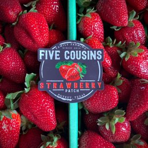 Five Cousins' Strawberry Patch