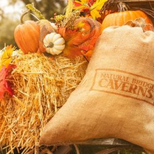 10/05-10/27 Cavern Fall Fest at Natural Bridge Caverns