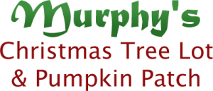 Murphy's Christmas Tree Lot