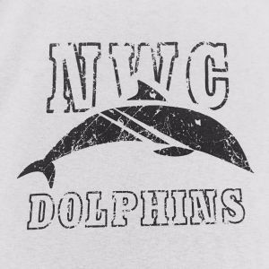 Northwest Crossing Dolphins