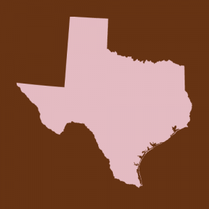 South Texas Behavioral Institute