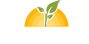 Allergy and Asthma Texas Health